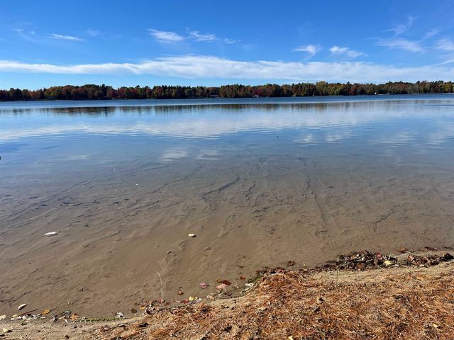 4524 Evergreen Drive, Greenbush Twp, MI 48738