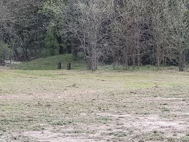 TBD FM 121, Van Alstyne, TX 75495