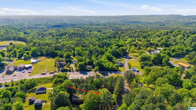620 DEE DRIVE, Warrior, AL 35180