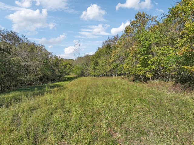 0 Howell Rd, Mount Pleasant, TN 38474