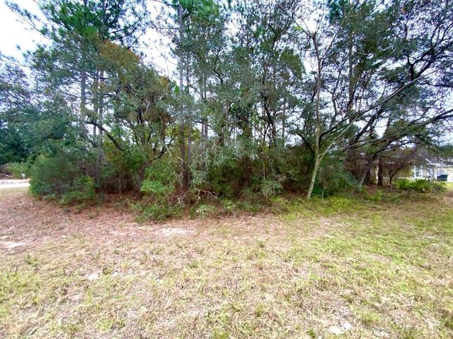 TBD SW 150 LANE 09, Ocala, FL 34473