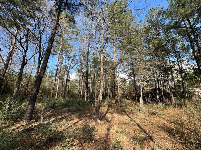 3-17-3B Winchester Road, Huntsville, TX 77340