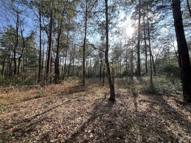 3-17-3B Winchester Road, Huntsville, TX 77340