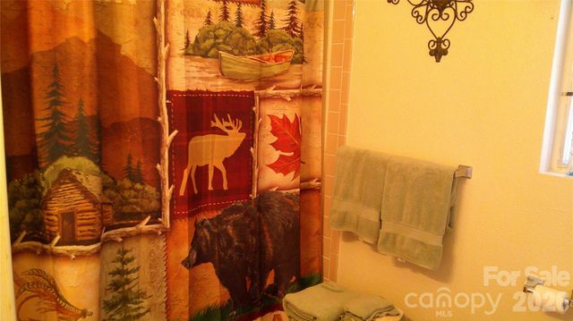 41 Shirdash Drive, Maggie Valley, NC 28751