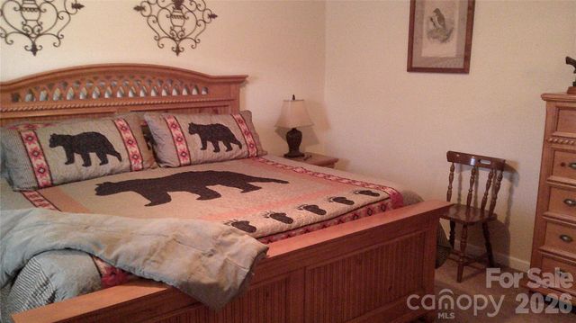 41 Shirdash Drive, Maggie Valley, NC 28751