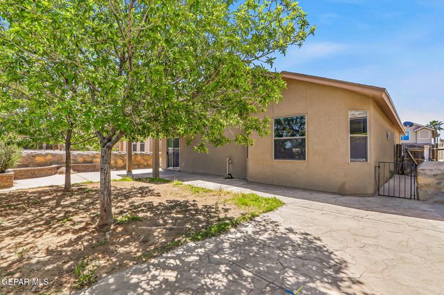 12569 WOLF BERRY Drive, El Paso, TX 79928