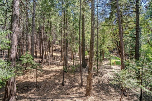 27484 Inspiration Dr E, Pioneer, CA 95666