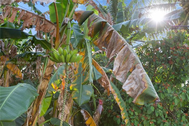 5614 San Vicente St, Coral Gables, FL 33146