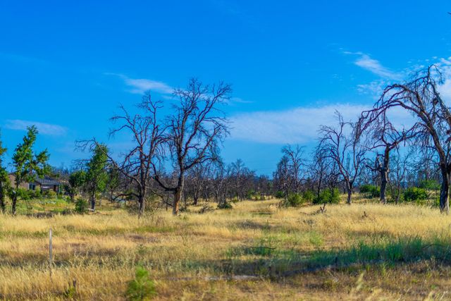 17007 Keswick Dam Road, Redding, CA 96003