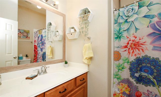 8206 Sierra Dawn Drive, Tomball, TX 77375