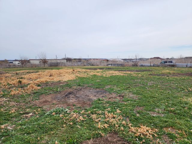 6608 Vintner Trail, Joshua, TX 76058