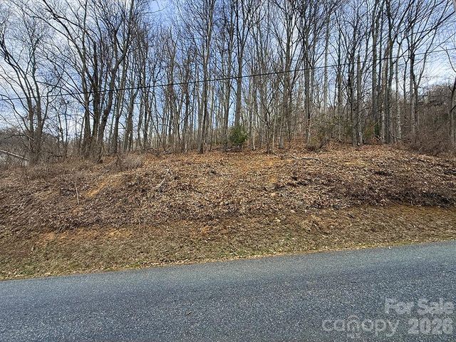 1975 Utah Mountain Road 19, Waynesville, NC 28785