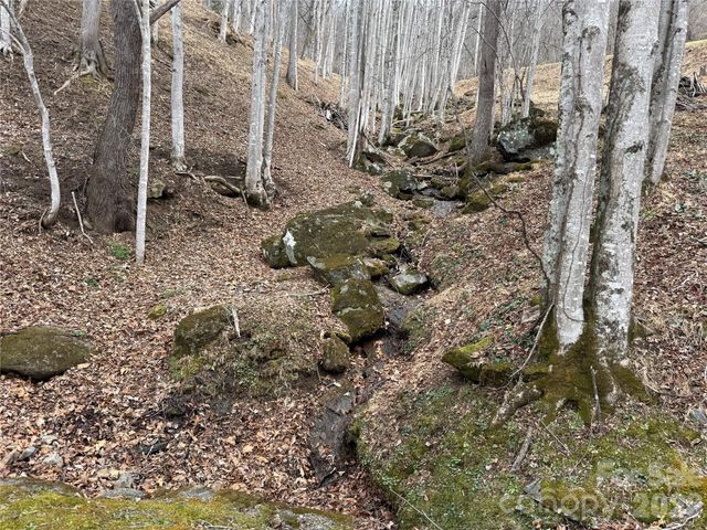 1975 Utah Mountain Road 19, Waynesville, NC 28785