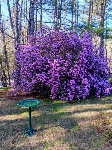 2 Ponderosa Park, Charlestown, NH 03603
