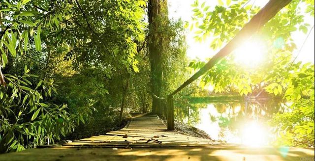 6036 Rainbow Heights Road, Fallbrook, CA 92028