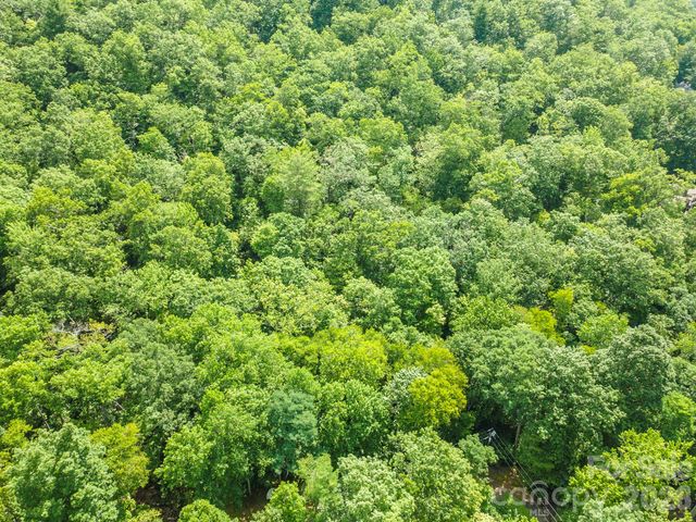 212 Harmony Lane, Montreat, NC 28757