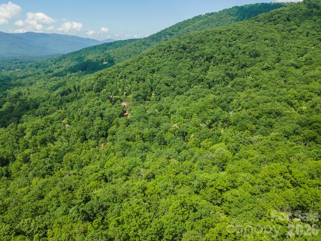 212 Harmony Lane, Montreat, NC 28757