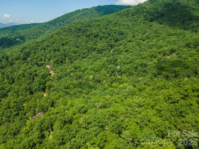 212 Harmony Lane, Montreat, NC 28757
