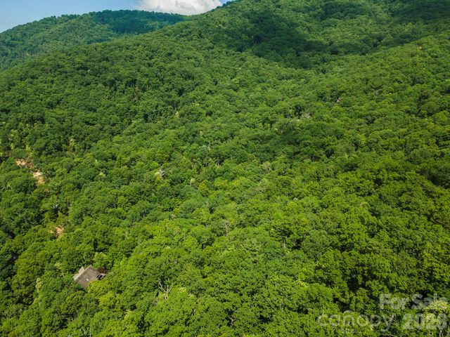 212 Harmony Lane, Montreat, NC 28757