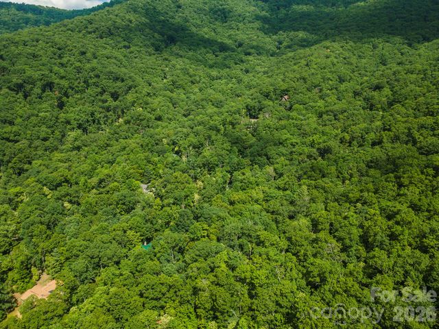 212 Harmony Lane, Montreat, NC 28757
