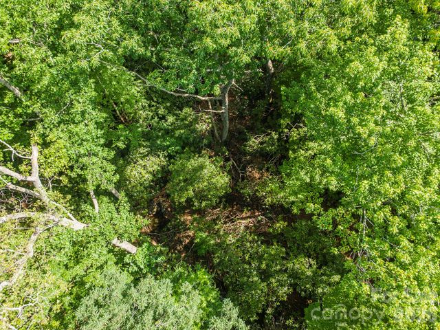 212 Harmony Lane, Montreat, NC 28757