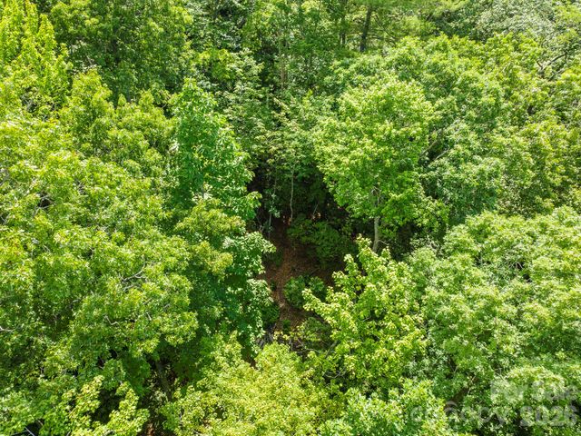 212 Harmony Lane, Montreat, NC 28757