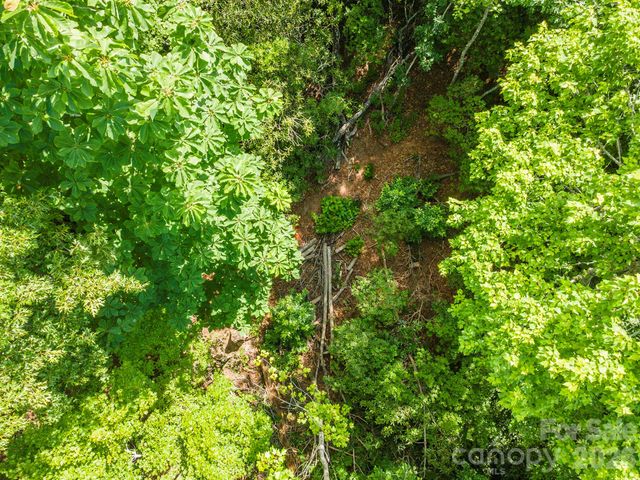 212 Harmony Lane, Montreat, NC 28757