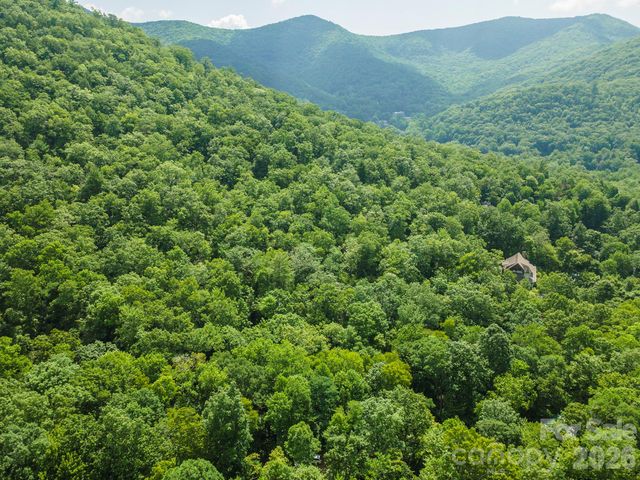 212 Harmony Lane, Montreat, NC 28757
