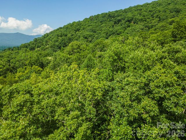 212 Harmony Lane, Montreat, NC 28757