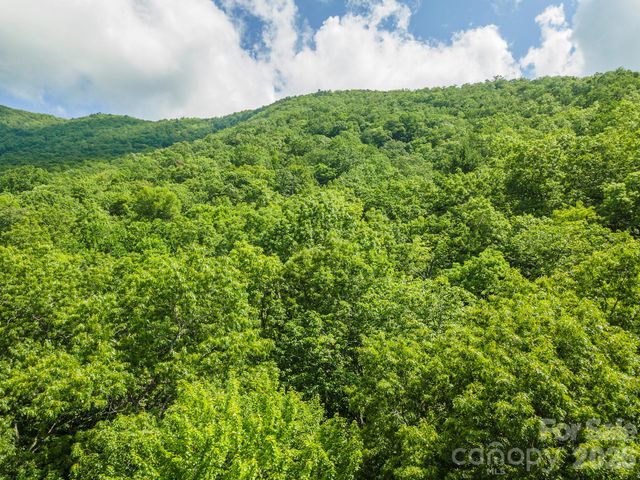 212 Harmony Lane, Montreat, NC 28757