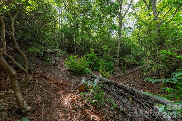 212 Harmony Lane, Montreat, NC 28757