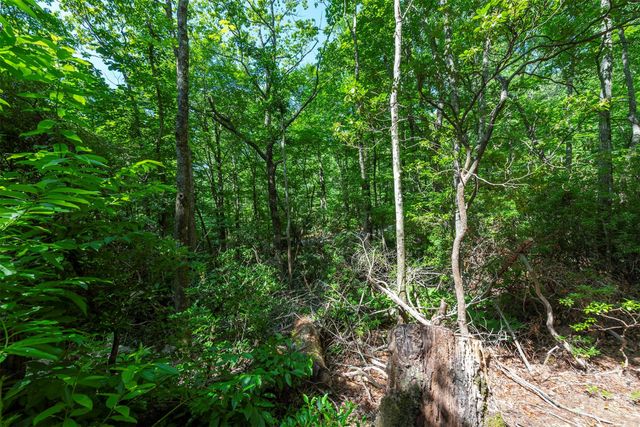 212 Harmony Lane, Montreat, NC 28757