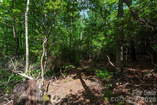 212 Harmony Lane, Montreat, NC 28757