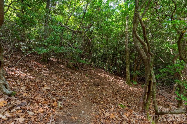 212 Harmony Lane, Montreat, NC 28757