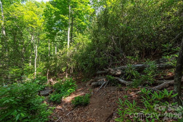 212 Harmony Lane, Montreat, NC 28757