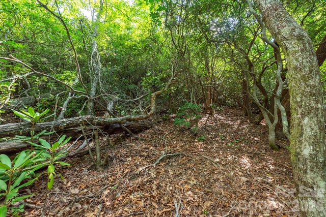212 Harmony Lane, Montreat, NC 28757
