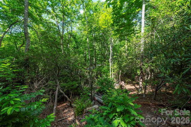 212 Harmony Lane, Montreat, NC 28757