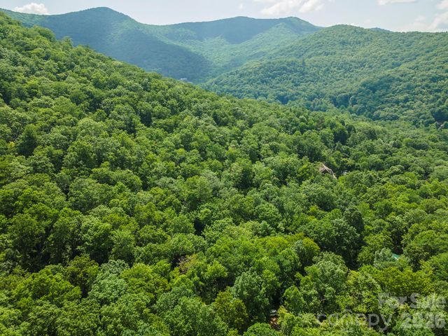212 Harmony Lane, Montreat, NC 28757