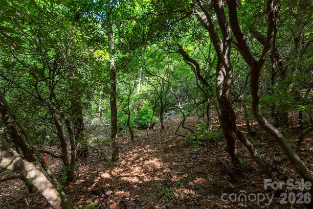 212 Harmony Lane, Montreat, NC 28757