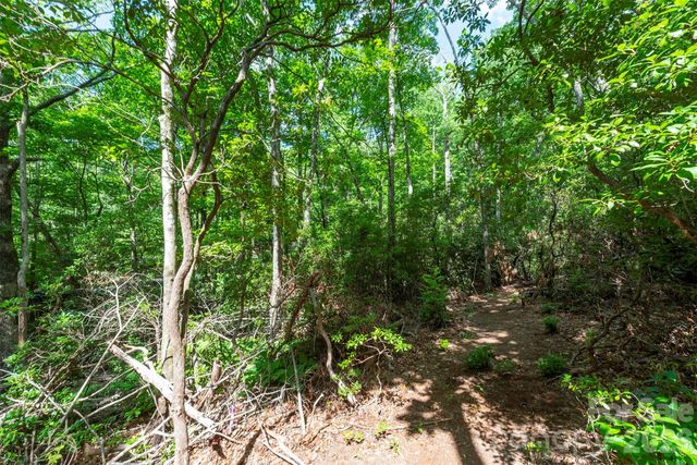 212 Harmony Lane, Montreat, NC 28757