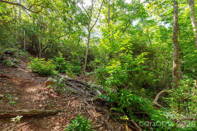 212 Harmony Lane, Montreat, NC 28757