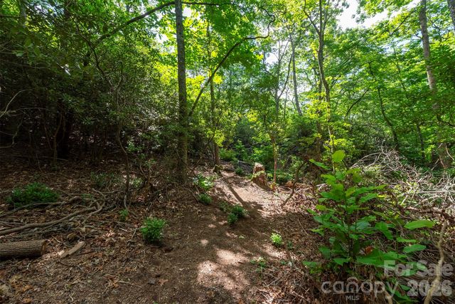 212 Harmony Lane, Montreat, NC 28757