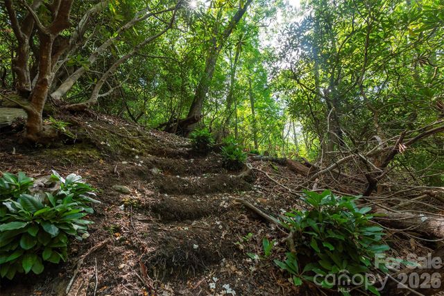 212 Harmony Lane, Montreat, NC 28757