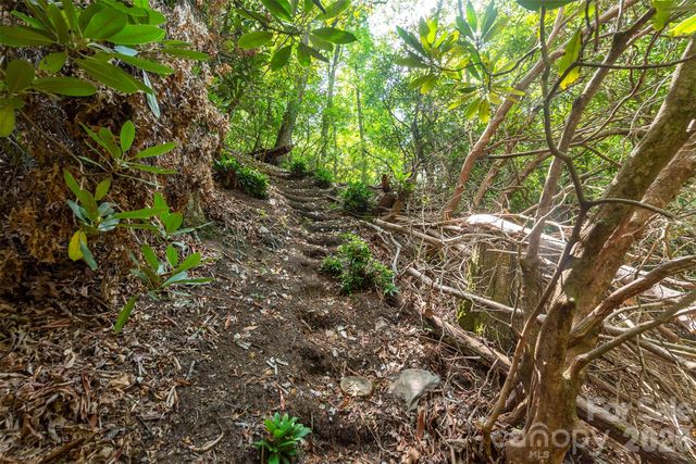 212 Harmony Lane, Montreat, NC 28757