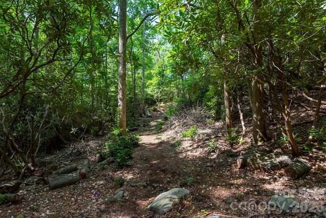 212 Harmony Lane, Montreat, NC 28757