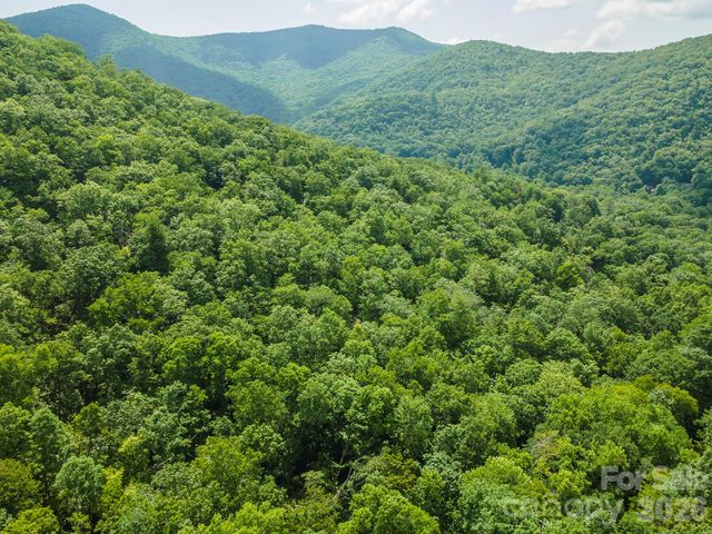 212 Harmony Lane, Montreat, NC 28757