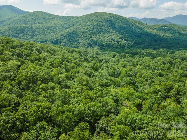 212 Harmony Lane, Montreat, NC 28757