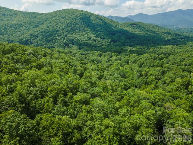 212 Harmony Lane, Montreat, NC 28757