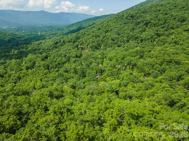212 Harmony Lane, Montreat, NC 28757
