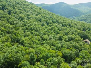 212 Harmony Lane, Montreat, NC 28757